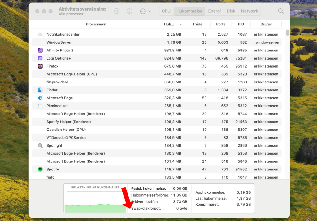 Visning af memory swap i Aktivitetsovervågning på MacBook